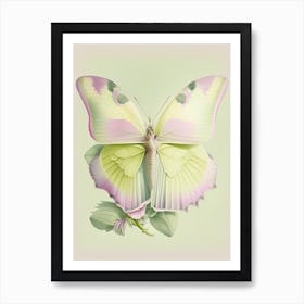 Brimstone Butterfly Vintage Pastel 1 Art Print