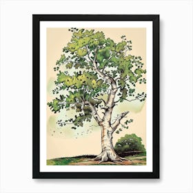 Beech Tree Storybook Illustration 3 Art Print