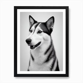 Finnish Spitz B&W Pencil Dog Art Print