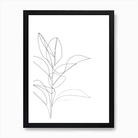 Rubber Plant Line Drawing Art Print