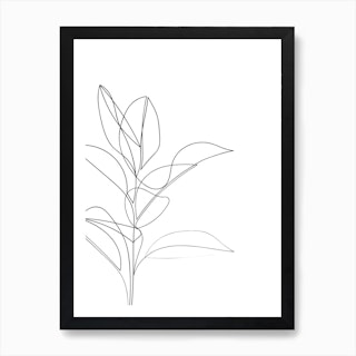 Rubber Plant Line Drawing Art Print