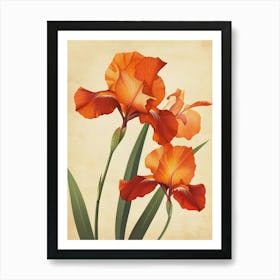 2024 May Poster Canvas Sng Iris 37 Art Print