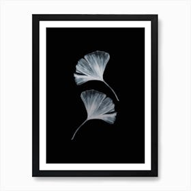 Ginko Black And White Handrawn Art Print