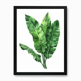 Banana Leaf 13 Art Print