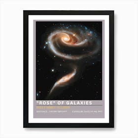 Rose Of Galaxies 1 Art Print