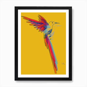 Hummingbird006 Art Print