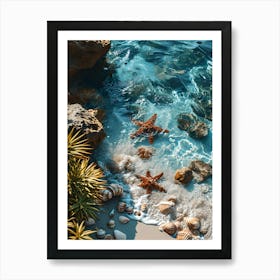 Sea Shells On The Beach Art Print