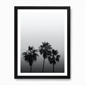 California Minimalist Palm Trees Black And White Art Print