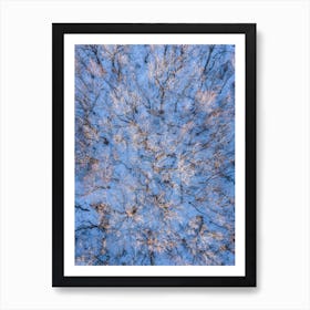 Aerial View Of Trees In Winter 1 Art Print