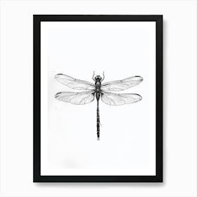 B&W Dragonfly Art Print