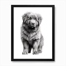 Newfoundland Dog, Line Drawing 2 Art Print