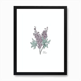 July Larkspur Birth Flower 1 Art Print