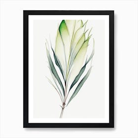 Yucca Leaf Minimalist Watercolour 1 Art Print
