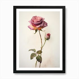 Pressed Flower Botanical Art Rose 1 Art Print