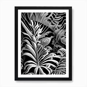 Climbing Bird S Nest Fern Linocut Art Print