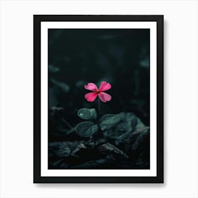 Single Flower In The Dark 16 Art Print