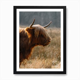 Highland Cow in the field | colorful travel photography 1 Art Print