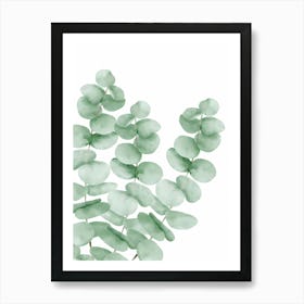 Watercolor Eucalyptus Leaves Art Print