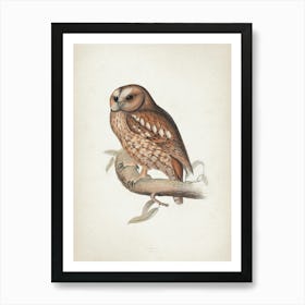 Vintage Lear 2 Wood Owl Art Print