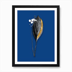 Vintage Bulltongue Arrowhead Black and White Gold Leaf Floral Art on Midnight Blue n.0074 Art Print