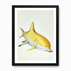Lemon Shark Vintage Art Print