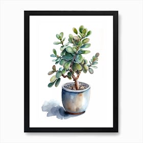 Succulent Plant Jade Tree Houseplant Art Print