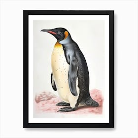 Adlie Penguin Livingston Island Vintage Botanical Painting 4 Art Print