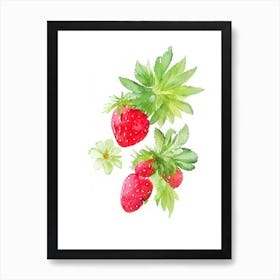 Wild Strawberries, Plant, Watercolour Art Print