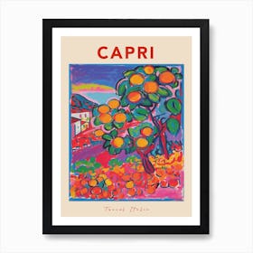 Capri Italia Travel Poster Art Print