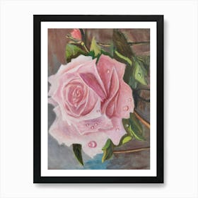 Pink Rose Art Print