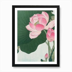 Lotus Flower 22 Art Print