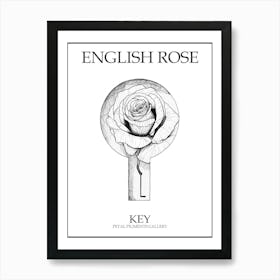 English Rose Key Line Drawing 3 Poster Art Print