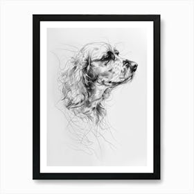Boykin Spaniel Dog Line Art 2 Art Print