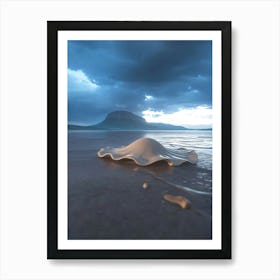 Shell On The Beach Art Print