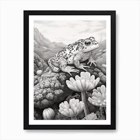 Desert Wave Toad 1 Art Print