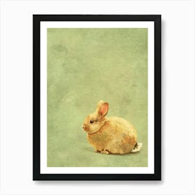 Rabbit On A Green Background Art Print