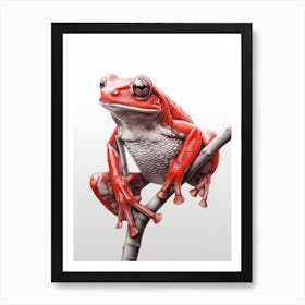 Red Tree Frog Realistic 2 Art Print
