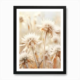 Boho Dried Flowers Bee Balm 2 Art Print