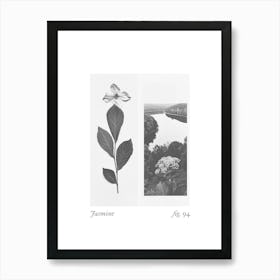 Jasmine Botanical Collage 4 Art Print
