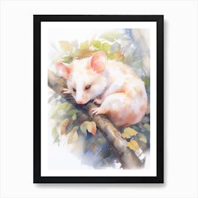 Light Watercolor Painting Of A Sleeping Possum 6 Art Print