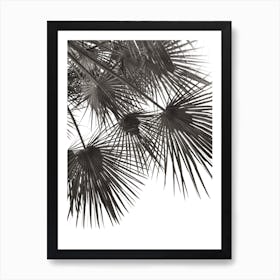 Endless Summer Wind Art Print