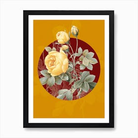 Vintage Botanical Yellow Rose Rosa Sulfurea on Circle Red on Yellow n.0323 Art Print