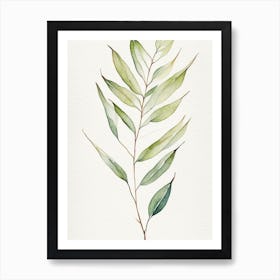 Willow Leaf Minimalist Watercolour 3 Art Print