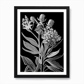 Milkweed Wildflower Linocut 2 Art Print