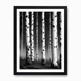 Birch Forest 95 Art Print