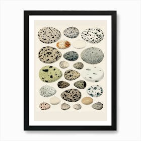 Pebbles Art Print