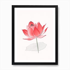 Red Lotus Pencil Illustration 2 Art Print