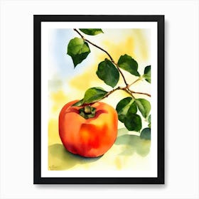 Persimmon Italian Watercolour fruit Art Print