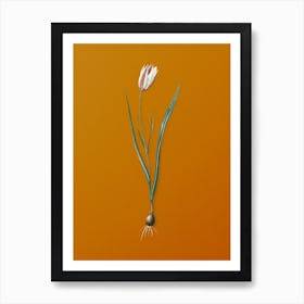 Vintage Lady Tulip Botanical on Sunset Orange n.0066 Art Print