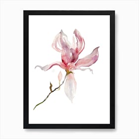 Magnolia 39 Art Print